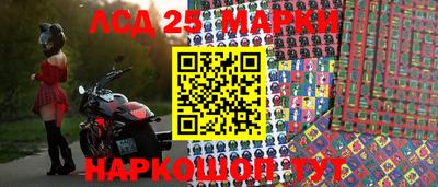 стаф Берёзовский