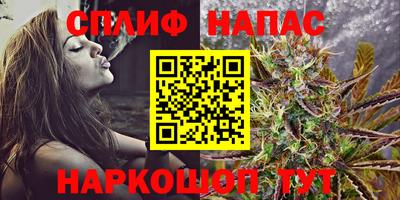 стаф Берёзовский