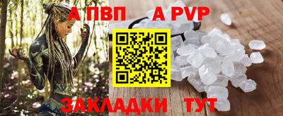стаф Берёзовский