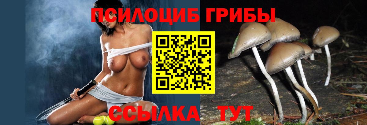 Касимов  Псилоцибиновые грибы Psilocybe  Вход с VPN  Галлюциногенные грибы MAGIC MUSHROOMS 